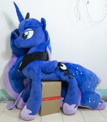 Size: 2872x3280 | Tagged: artist needed, safe, derpibooru import, princess luna, pony, g4, plushie, pony plushie