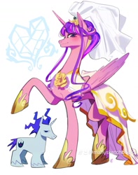 Size: 1274x1614 | Tagged: safe, artist:manysketchbooks, derpibooru import, princess cadance, shining armor, alicorn, pony, unicorn, g4, clothes, dress, duo, female, height difference, hoof shoes, horn, male, mare, meme, shiningcadance, shipping, size difference, stallion, straight, the bride and the ugly ass groom, unshorn fetlocks, veil, wedding dress, wedding veil
