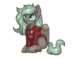 Size: 4000x3001 | Tagged: safe, artist:dumbwoofer, derpibooru import, oc, oc only, oc:forest air, pegasus, pony, 2020, chest fluff, clothes, ear fluff, ears, excited, female, happy, hoodie, maple leaf, mare, simple background, sitting, smiling, solo, text, transparent background