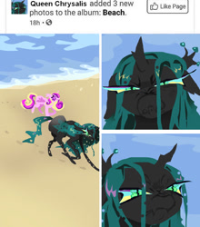 Size: 853x970 | Tagged: safe, artist:larvaecandy, derpibooru import, princess cadance, queen chrysalis, alicorn, changeling, changeling queen, pony, g4, angry, beach, black coat, changeling horn, colored, colored hooves, colored sclera, colored wings, cross-popping veins, curly hair, curly mane, curly tail, duo, duo female, ear fluff, ears, ears back, emanata, facebook, female, floppy ears, folded wings, frown, green mane, green tail, height difference, hoofprints, horn, insect wings, lidded eyes, lineless, long legs, long mane, long tail, looking at you, mare, meme, meme redraw, multicolored mane, multicolored tail, narrowed eyes, ocean, outdoors, photoset, pink coat, pink eyes, purple sclera, queen chrysalis is not amused, sand, scowl, shiny mane, shiny tail, slender, small horn, smiling, solo focus, straight mane, straight tail, tail, teal sclera, text, thin, thin legs, unamused, unicorn horn, walking, water, wingding eyes, wings