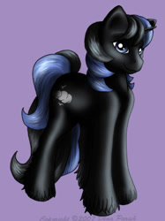 Size: 281x375 | Tagged: safe, artist:flyingpony, derpibooru import, oc, oc only, oc:skyview, pony, unicorn, fanfic:worlds apart, g1, horn, lavender background, male, simple background, solo, stallion, standing