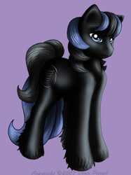 Size: 281x375 | Tagged: safe, artist:flyingpony, derpibooru import, oc, oc only, oc:stardust (flyingpony), earth pony, pony, fanfic:worlds apart, g1, lavender background, male, simple background, solo, stallion, standing, unshorn fetlocks