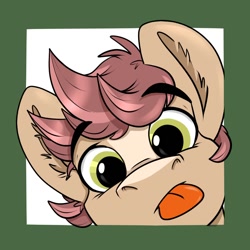 Size: 1000x1000 | Tagged: safe, artist:rutkotka, derpibooru import, oc, oc only, oc:pitch kritter pine, earth pony, pony, :p, cute, looking at you, male, ocbetes, solo, stallion, tongue, tongue out