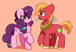 Size: 7038x4856 | Tagged: safe, artist:kittyrosie, derpibooru import, big macintosh, sugar belle, earth pony, pony, unicorn, g4, :o, absurd resolution, blushing, cute, duo, duo male and female, female, flower, flower in mouth, high res, horn, kittyrosie is trying to murder us, looking at someone, macabetes, male, mare, mouth hold, open mouth, profile, redraw, shipping, simple background, stallion, straight, sugarbetes, sugarmac, unshorn fetlocks