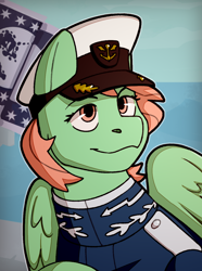 Size: 1040x1400 | Tagged: safe, artist:bunnyshrubby, derpibooru import, oc, oc only, oc:aurora gale, pegasus, pony, equestria at war mod, bust, cap, clothes, flag, hat, mare in the moon, moon, ocean, portrait, solo, stars, water