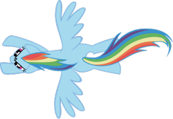 Size: 390x269 | Tagged: safe, artist:theairgonaut, derpibooru import, rainbow dash, pegasus, pony, g4, the ticket master, .svg available, female, flying, mare, missing cutie mark, overhead view, simple background, solo, spread wings, svg, transparent background, vector, wings