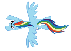 Size: 2000x1434 | Tagged: safe, artist:shayminonearth, derpibooru import, rainbow dash, pegasus, pony, g4, the ticket master, female, flying, mare, overhead view, simple background, solo, spread wings, transparent background, vector, wings