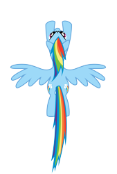Size: 5400x8000 | Tagged: safe, artist:caliazian, artist:shayminonearth, derpibooru import, rainbow dash, pegasus, pony, g4, .ai available, both cutie marks, female, flying, mare, overhead view, simple background, solo, sound barrier, spread wings, transparent background, vector, wings