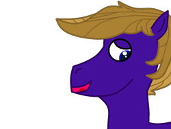 Size: 1000x750 | Tagged: safe, artist:hurricanehunter03, derpibooru exclusive, derpibooru import, oc, oc only, oc:wing front, pegasus, bust, pegasus oc, portrait, simple background, solo, transparent background