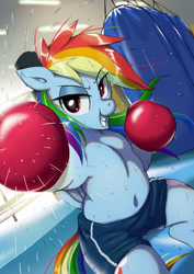 Size: 2480x3508 | Tagged: safe, artist:neoshrek, derpibooru import, rainbow dash, pegasus, pony, semi-anthro, g4, belly, belly button, boxing, boxing gloves, female, mare, punching bag, solo, sports, sweat, tomboy