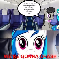 Size: 3307x3307 | Tagged: safe, artist:epicheavytf2, artist:pyrogaming, derpibooru import, dj pon-3, octavia melody, vinyl scratch, earth pony, pony, unicorn, g4, absolutenutcase162, conversation, female, horn, imminent death, looking at you, mare, meme, missing accessory, plane, ponified animal photo, red text, shitposting, sitting, smiling, speech bubble, talking, text, this will end in death