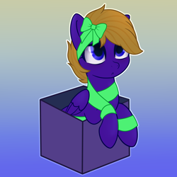 Size: 4000x4000 | Tagged: safe, artist:theriyelp, derpibooru import, oc, oc only, oc:wing front, pegasus, pony, box, cute, gradient background, pegasus oc, pony in a box, present, ribbon, solo