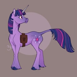 Size: 965x965 | Tagged: safe, artist:solkatt-arts, derpibooru import, twilight sparkle, unicorn twilight, classical unicorn, pony, unicorn, bag, brown background, cloven hooves, female, horn, leonine tail, mare, saddle bag, simple background, solo, unshorn fetlocks