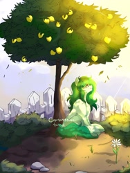 Size: 1536x2048 | Tagged: safe, artist:mikkybun, derpibooru import, wallflower blush, earth pony, pony, commission, equestria girls ponified, female, fence, flower, food, freckles, leaves, lemon, lemon tree, looking up, mare, ponified, shoulder freckles, sitting, solo, species swap, sunlight, tree