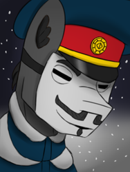 Size: 768x1024 | Tagged: safe, artist:riley vinchers, derpibooru import, oc, oc only, oc:gray fox, pony, equestria at war mod, bust, cap, clothes, guy fawkes mask, hat, portrait, snow, snowfall, solo