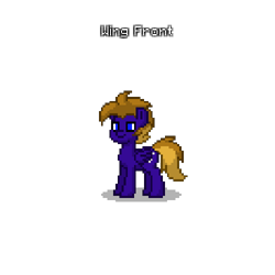 Size: 500x500 | Tagged: safe, derpibooru import, oc, oc only, pegasus, pony, blue eyes, brown mane, brown tail, male, pegasus oc, pony town, purple coat, simple background, solo, tail, text, transparent background
