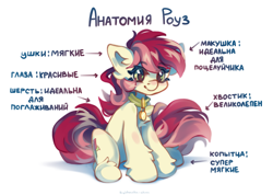 Size: 4591x3261 | Tagged: safe, artist:vanilla-chan, derpibooru import, roseluck, earth pony, pony, g4, collar, commission, commissioner:doom9454, cute, cyrillic, fluffy, meme, pet tag, ponified animal photo, pony pet, rosepet, russian, simple background, sitting, translated in the description, white background