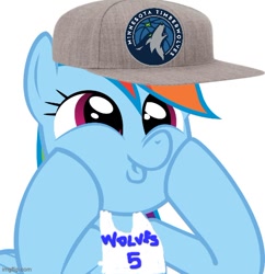 Size: 500x517 | Tagged: artist needed, safe, derpibooru import, rainbow dash, g4, 1000 hours in ms paint, basketball, dashface, minnesota timberwolves, nba, simple background, solo, white background