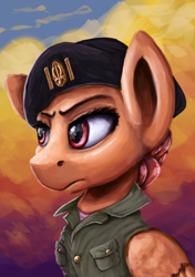 Size: 2808x3978 | Tagged: safe, artist:ryanmandraws, derpibooru import, oc, oc only, oc:mad mic, pegasus, pony, equestria at war mod, beret, bust, clothes, hat, military uniform, portrait, solo, uniform