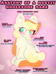 Size: 4096x5461 | Tagged: safe, artist:sodapop sprays, derpibooru import, oc, oc only, oc:sodapop sprays, pegasus, pony, anatomy chart, anatomy guide, chart, chest fluff, ear fluff, ears, freckles, meme, sitting, solo