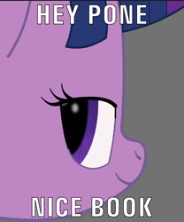 Size: 600x720 | Tagged: safe, artist:k. dale, derpibooru import, twilight sparkle, unicorn twilight, pony, unicorn, g4, gray background, head only, looking at you, meme, simple background, solo, text