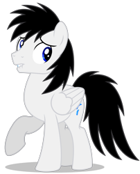 Size: 4769x5906 | Tagged: safe, artist:creedyboy124, derpibooru import, oc, oc only, oc:shane park, pegasus, pony, absurd resolution, blue eyes, male, pegasus oc, simple background, stallion, stallion oc, transparent background