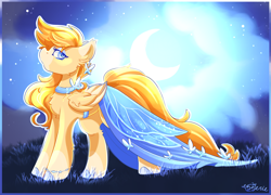 Size: 2467x1776 | Tagged: safe, artist:ezzerie, derpibooru import, oc, oc only, oc:sunmoth, butterfly, pegasus, pony, background, clothes, dress, female, gala dress, grass, jewelry, mare, moon, moonlight, solo, stars