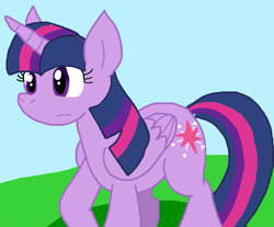 Size: 877x727 | Tagged: safe, artist:cmara, derpibooru import, twilight sparkle, twilight sparkle (alicorn), alicorn, g4, female