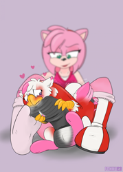Size: 1622x2271 | Tagged: safe, artist:foxxy-arts, derpibooru import, oc, oc:foxxy hooves, hedgehog, hippogriff, amy rose, blushing, boots, clothes, clothing transformation, duo, duo female, female, forced perspective, headband, heart, hippogriff oc, inanimate tf, lidded eyes, mid-transformation, open mouth, pink background, shoes, simple background, socks, sonic the hedgehog (series), transformation