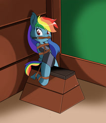 Size: 2037x2368 | Tagged: safe, artist:parassaux, derpibooru import, rainbow dash, anthro, plantigrade anthro, g4, bit gag, bondage, bound and gagged, clothes, female, gag, gymnasium, gymnastics, hands behind back, leotard, looking at you, rope, rope bondage, sitting, solo, vaulting box