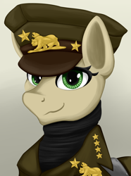 Size: 2756x3707 | Tagged: safe, artist:cofido, derpibooru import, oc, oc only, oc:golden star, pony, equestria at war mod, bust, cap, clothes, hat, military uniform, new california republic, portrait, solo, uniform