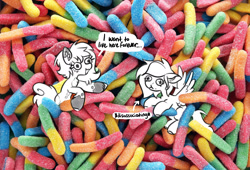 Size: 2342x1590 | Tagged: safe, artist:opalacorn, derpibooru import, oc, oc only, earth pony, pegasus, pony, candy, chest fluff, coat markings, commission, dialogue, duo, eating, female, food, gummy worm, irl, mare, photo, ponies in food, ponies in real life, speech bubble, tiny, tiny ponies, unshorn fetlocks