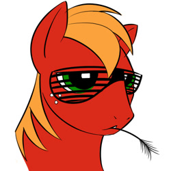 Size: 500x500 | Tagged: safe, artist:kloudmutt, derpibooru import, big macintosh, earth pony, pony, g4, bust, hay stalk, male, portrait, shutter shades, simple background, solo, stallion, straw in mouth, sunglasses, white background