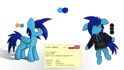 Size: 8000x4500 | Tagged: safe, artist:japkozjad, derpibooru import, oc, oc:apply, pegasus, absurd resolution, clothes, heterochromia, hoodie, male, pegasus oc, reference sheet, simple background, stallion, text, white background