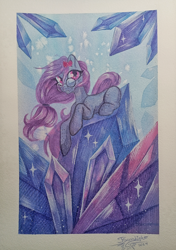Size: 2798x3975 | Tagged: safe, artist:jsunlight, derpibooru import, oc, earth pony, pony, solo, traditional art, watercolor painting