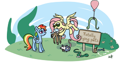 Size: 4000x2000 | Tagged: safe, artist:mafon, derpibooru import, fluttershy, rainbow dash, opossum, pegasus, pony, sloth, snake, g4, may the best pet win, balloon, blatant lies, bullshit, chicanery, duo, duo female, fake wings, female, grin, lidded eyes, mare, rainbow dash is not amused, scissors, sign, simple background, smiling, sunglasses, transparent background, unamused, vulgar