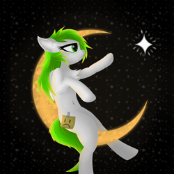 Size: 4500x4500 | Tagged: safe, artist:twinky, derpibooru import, oc, pegasus, pony, chest fluff, crescent moon, green eyes, moon, space, stars