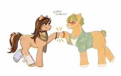 Size: 2048x1290 | Tagged: safe, artist:kiyrox, artist:rackinbrains, derpibooru import, oc, oc only, oc:pandan leaves, earth pony, pony, blank flank, choker, clothes, duo, female, hawaiian shirt, headband, hoofbump, jewelry, leg warmers, looking at each other, looking at someone, male, mare, necklace, scarf, shirt, simple background, stallion, sunglasses, unshorn fetlocks, white background
