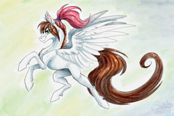 Size: 1600x1066 | Tagged: safe, artist:sunny way, derpibooru import, oc, oc:sunny way, horse, pegasus, pony, g4, art, artwork, cartoon, concave belly, digital art, feather, female, fit, fluffy, flying, fur, ipad, lacrimal caruncle, long tail, mare, muscles, realistic paint studio, slender, solo, spread wings, sternocleidomastoid, tail, thin, traditional art, watercolor painting, wings