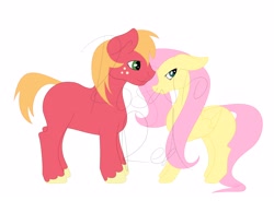 Size: 4096x3010 | Tagged: safe, artist:rosario-red, artist:rosario_red_art, derpibooru import, part of a set, big macintosh, fluttershy, earth pony, pegasus, pony, absurd resolution, colored, duo, duo male and female, ears, female, flat colors, floppy ears, fluttermac, folded wings, height difference, long mane, long tail, looking away, male, mare, missing accessory, missing cutie mark, obtrusive watermark, shipping, shy, simple background, smiling, stallion, straight, tail, unshorn fetlocks, watermark, white background, wings, wip