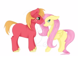 Size: 4096x3010 | Tagged: safe, artist:rosario-red, artist:rosario_red_art, derpibooru import, part of a set, big macintosh, fluttershy, earth pony, pegasus, pony, absurd resolution, blushing, duo, duo male and female, ears, female, floppy ears, fluttermac, folded wings, height difference, long mane, long tail, looking away, male, mare, missing accessory, missing cutie mark, obtrusive watermark, shading, shipping, shy, simple background, smiling, stallion, straight, tail, unshorn fetlocks, watermark, white background, wings, wip