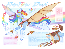 Size: 4250x3250 | Tagged: safe, artist:qpnnn, derpibooru import, rainbow dash, alternate design, amputee, artificial wings, augmented, chinese, coat markings, head turn, long legs, pale belly, prosthetic limb, prosthetic wing, prosthetics, reference sheet, slender, socks (coat marking), solo, thin, translation request, wings