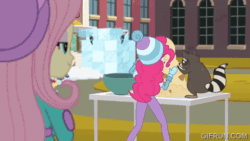 Size: 520x293 | Tagged: safe, derpibooru import, screencap, fluttershy, pinkie pie, rarity, sunset shimmer, human, raccoon, equestria girls, g4, animated, blizzard or bust, clothes, equestria girls specials, female, gif, gifrun.com, my little pony equestria girls: holidays unwrapped, winter outfit