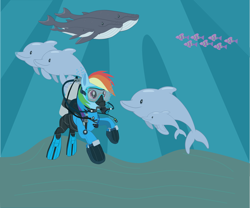 Size: 4535x3780 | Tagged: safe, artist:andoanimalia, artist:firefall-mlp, artist:sonicstreak5344, derpibooru import, rainbow dash, dolphin, fish, pegasus, whale, g4, air tank, animal, bubble, dive mask, drysuit, flippers, flippers (gear), goggles, hose, ocean, oxygen tank, photo, rebreather, sand, scuba diving, scuba gear, show accurate, sunlight, swimming, underwater, water, wetsuit