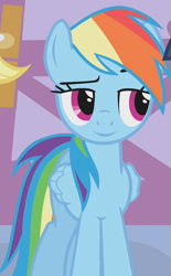 Size: 365x590 | Tagged: safe, derpibooru import, edit, edited screencap, editor:twilyisbestpone, screencap, applejack, rainbow dash, twilight sparkle, earth pony, pegasus, pony, unicorn, g4, season 1, suited for success, carousel boutique, cropped, eyebrows, female, inverted mouth, lidded eyes, mare, offscreen character, raised eyebrow, smiling, solo focus