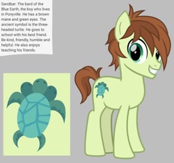 Size: 640x600 | Tagged: safe, artist:fizzled_kitty, derpibooru import, edit, sandbar, earth pony, pony, turtle, g4, alternate cutie mark, alternate hair color, brown hair, cutie mark, google translate, gray background, implied school of friendship, male, multiple heads, recolor, reference sheet, simple background, solo, three heads