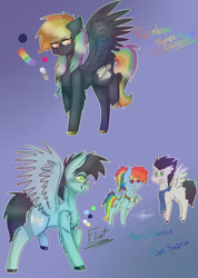 Size: 750x1055 | Tagged: safe, artist:fluffyrainbowkitty, derpibooru import, rainbow dash, soarin', oc, oc:rainbow spectrum, pegasus, pony, female, male, mare, offspring, parent:rainbow dash, parent:soarin', parents:soarindash, shipping, soarindash, stallion, straight