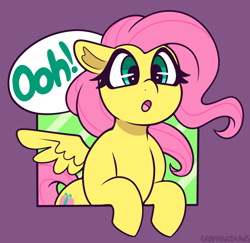 Size: 1750x1700 | Tagged: safe, artist:graphene, derpibooru import, fluttershy, pegasus, pony, g4, :o, cute, dialogue, female, half body, mare, ooh, open mouth, purple background, reaction image, shyabetes, simple background, solo, speech bubble, spread wings, wings