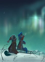 Size: 1485x2048 | Tagged: safe, artist:hichieca, derpibooru import, oc, oc only, bat pony, pony, aurora borealis, bat pony oc, breath, christmas, clothes, duo, hat, holiday, santa hat, scarf, sitting, sled, snow