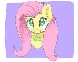 Size: 2500x2000 | Tagged: safe, artist:bazza, derpibooru exclusive, derpibooru import, fluttershy, pegasus, pony, g4, :3, bronybait, bust, cute, disembodied head, looking at you, looking up, looking up at you, paint tool sai, shyabetes, signature, simple, simple background, simple shading, solo, speech, talking, text